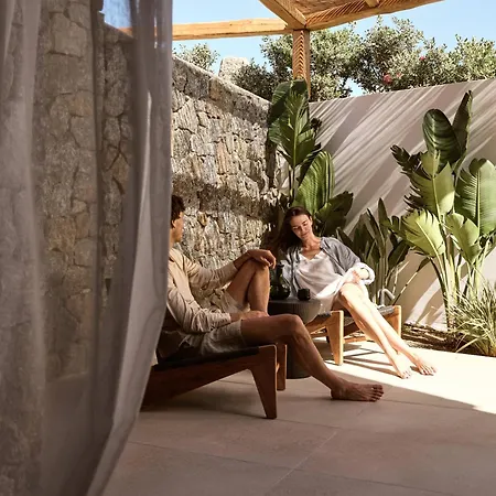 Hotel Anemelia Mykonos Elia (Mykonos)